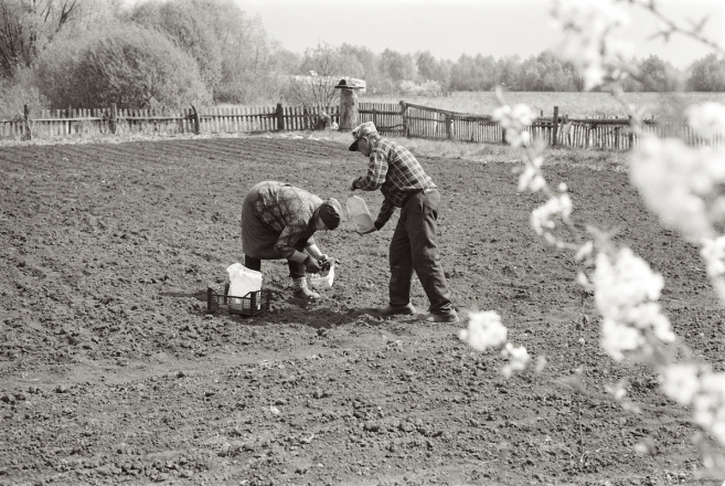 17.Granddad-Vasil-and-His-Wife-Vjerka-Planting-Vegetables-Tsjerablichy-2019-2019037b-24A