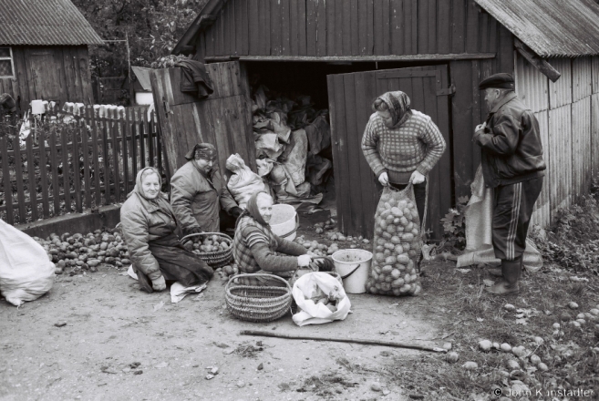 17.Sorting-the-Potato-Harvest-Asava-2012-2012321-42