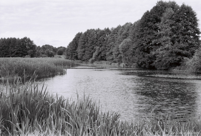 18b.River-Halchanka-Narushautsy-2018-2018215_34A