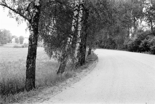 18c.Birch-Allee-Vjerkhnjaje-2019-2019080a-10A