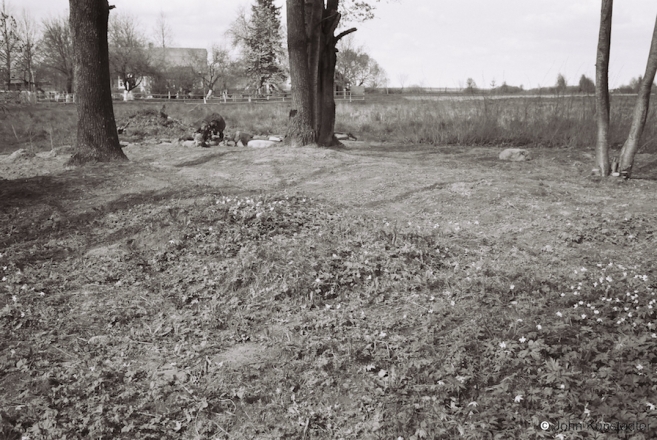 19c.World-War-I-Cemeteries-LXII-German-WWI-Cemetery-Hirbinjata-2016-2016151-29A