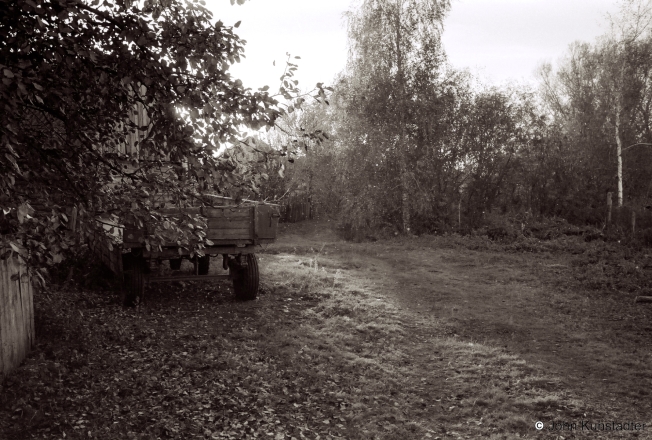 1_Tsjerablichy-2018-2018273b_31A