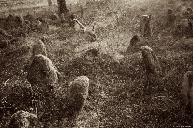 Tombstones, Babtsy Cemetery 2014, 1a.2014401-08(2)