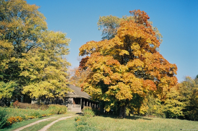 1a.Bahushevich Estate & Museum, Kushljany 2018, 2018265-15A (000047