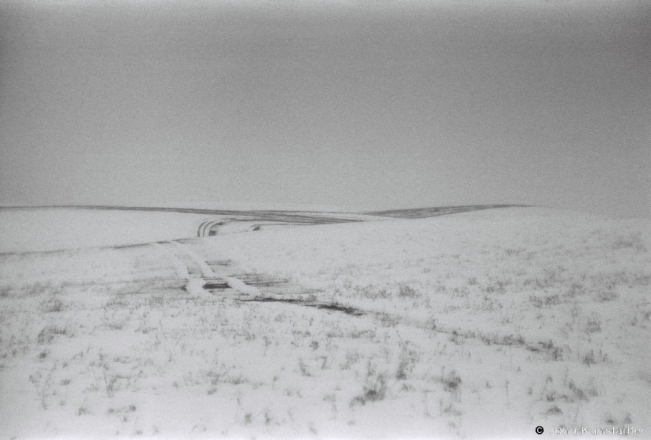 1a.Fields (Thambar Lens), Pjarezhary 2019, 2019019_14A