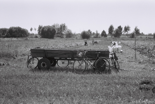 1a.Harvesting Potatoes from Field Allotment, Tsjerablichy 2017, 2017200- (F1010012