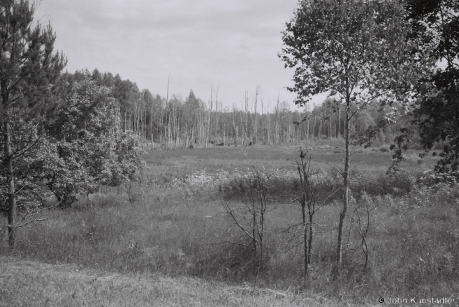 1a.Marshland nr. Shvakshty 2015, 2015229b- (F1160030