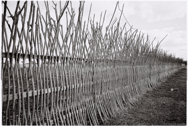 1a.New Traditional Polesian Woven Fence, Tsjerablichy 2016, 2016081b- (000065