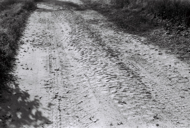 1a.Old Ivashkautsy-Narbuty Road 2018, 2018266_21A