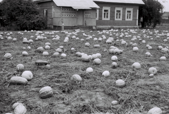 1a.Great-Grandmother Marusja's Squash, Tsjerablichy 2018, 2018227_11