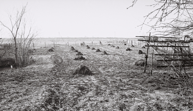 1a.Vasil' & Katsja's Lower Plot, Tsjerablichy 2016, 2016080b- (2) (000046