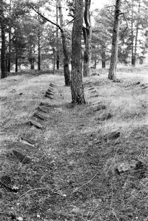 1a.World-War-I-Cemeteries-XXXIII-German-Cemetery-Alshanka-Pinsk-District-2020-2020019-36A