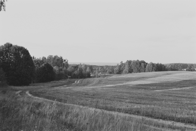 1a.Zastsjennje-2019-2019189-26A