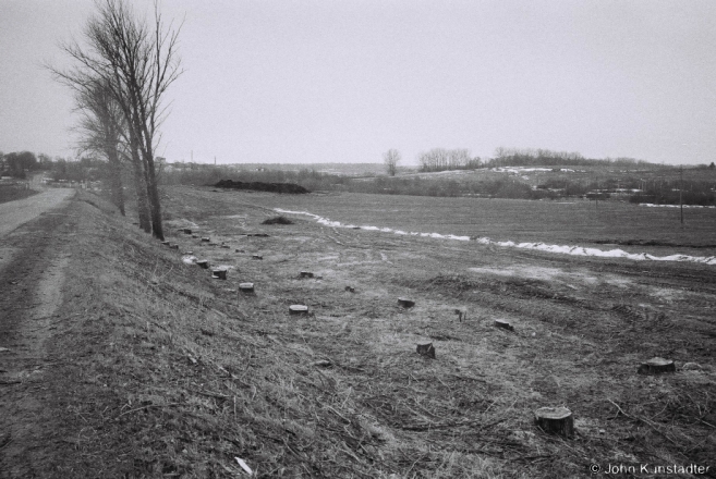 1b.Allee near Nahornaje 2016, 2016059c-34A