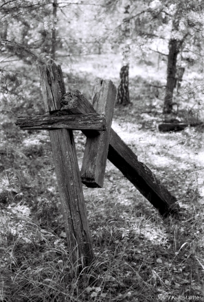 1b.Cemetery, Merlinskija Khutary 2018, 2018259_21A