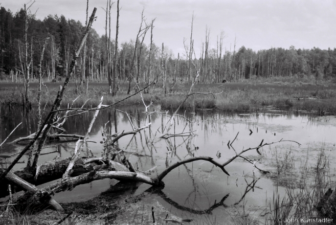 1b.Marshland nr. Shvakshty 2015, 2015229b- (F1160034