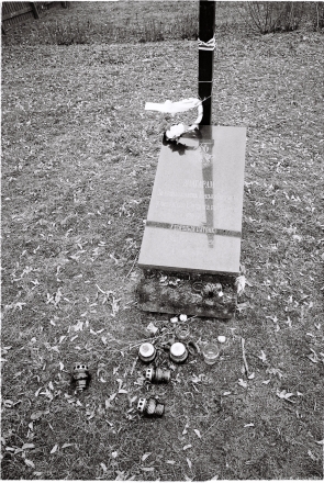 1b.Monument to Anti-Bolshevik Slutsk Uprising of 1920, Sjemjezhava 2016, 2016074-7A (000034