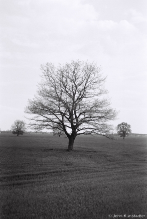 1b.Oak-Grove-Fjadory-2014-2014140-34A