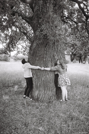 1b.Oak Tree, Tonjezh 2015, 2015282-26A
