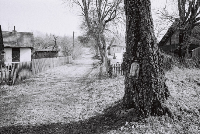 1b.Rhythms and Rites of Approaching Spring, Tapping Sap, Tatarshchyna (Smarhon' District) 2016, 2016115- (F1010031