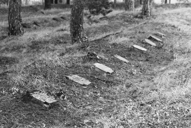 1b.World-War-I-Cemeteries-XXXIII-German-Cemetery-Alshanka-Pinsk-District-2020-2020013b-31