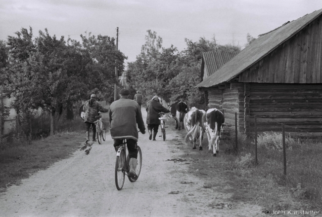 1c.Cows Coming Home, Tsjerablichy 2018, 2018108b_36A