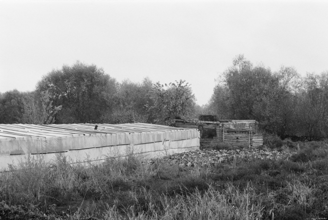 1c.Disappearing-Patrimony-Machul-2019-2019241b-12A