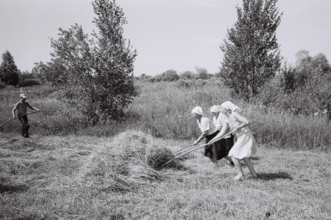 1c.Family-Farming-in-Polesia-Haying-Tsjerablichy-Meadows-2012-2012199-282