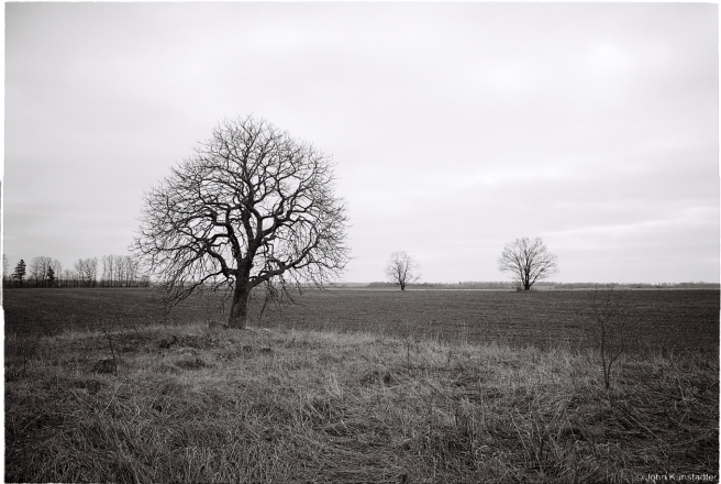 1c.Former Estate, Vusava 2016, 2016070-34A (000066
