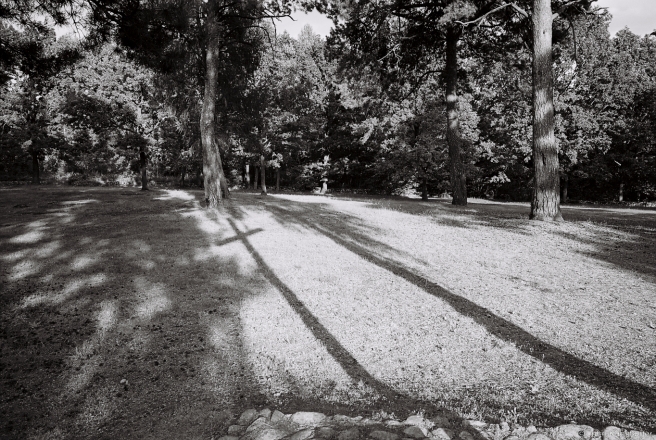 1c.WWI Cemetery, Dzjasjatniki 2015, 2015299a-8A(000044