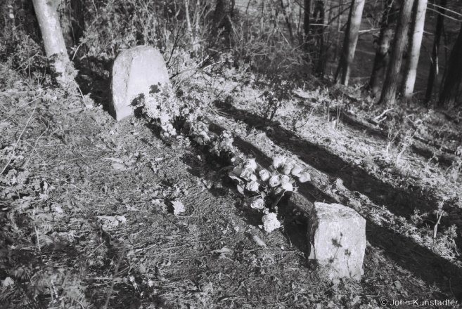 1c.Grave with Head- and Footstone, Malyja Bjasjady 2017, 2017089b-31A