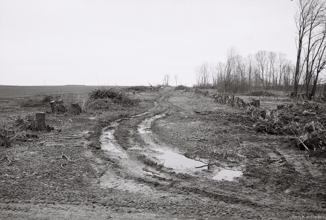1c.Newly-Destroyed Section of Allee, Former Pukava Estate 2016, 2016069-0A(2) (000001