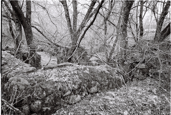 1c.Stone Foundations of Former Estate Building (?), Dunajeva 2016, 2016070-2A (000003