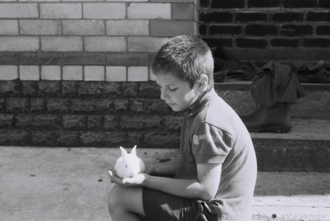1c.Uladzik and His Rabbits, Pirtani 2016, .2016241- (F1140023
