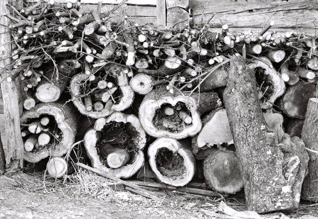 1c.Wood from Great-Granddad Maksim's Apple Tree, Tsjerablichy 2016, 2016079c- (2) (000064