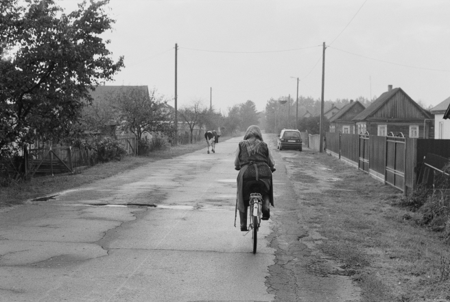 1d.Cows-Coming-Home-Tsjerablichy-2019-2019242a-4A