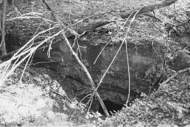 1d.German-World-War-I-Bunker-Lotva-Mjadzjel-District-2019-2019195-2A