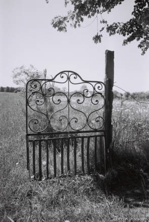 1d.Old Gate, Zaljes'sje 2017, 2017126b- (F1030015