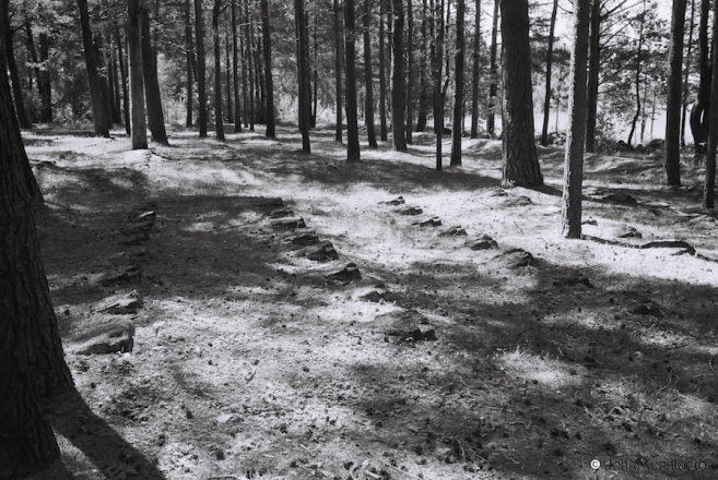 1d.World-War-I-Cemeteries-XLIX-80th-German-Reserve-Infantry-Division-Cemetery-Pronki-2015-2015223-31A-F1100023