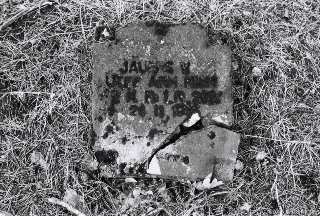 1d.World-War-I-Cemeteries-XXXIII-German-Cemetery-Alshanka-Pinsk-District-2020-2020020_05A