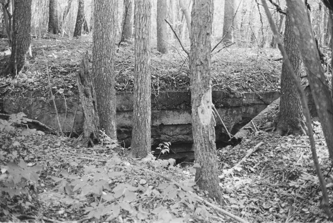 1e.German-World-War-I-Bunker-Lotva-Mjadzjel-District-2019-2019195-3A