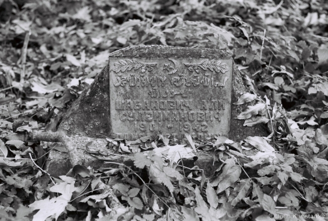 1e.Tatar-Cemetery-Daubuchki-2018-2018284b_23A