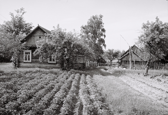1f.Ausjamirava 2017, 2017146a-13A (000045