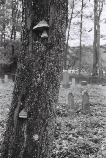 1g.Tatar-Cemetery-Daubuchki-2018-2018284b_24A