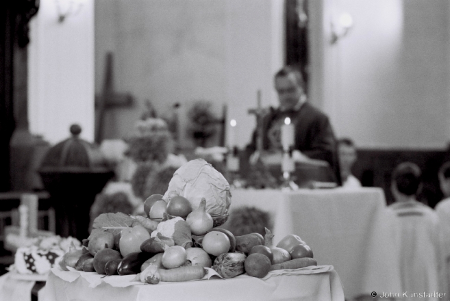 2-harvest-offerings-replja-2013-2013306-12a
