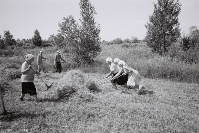 2-first-haying-tsjerablichy-meadows-2012-2012199-f1060030