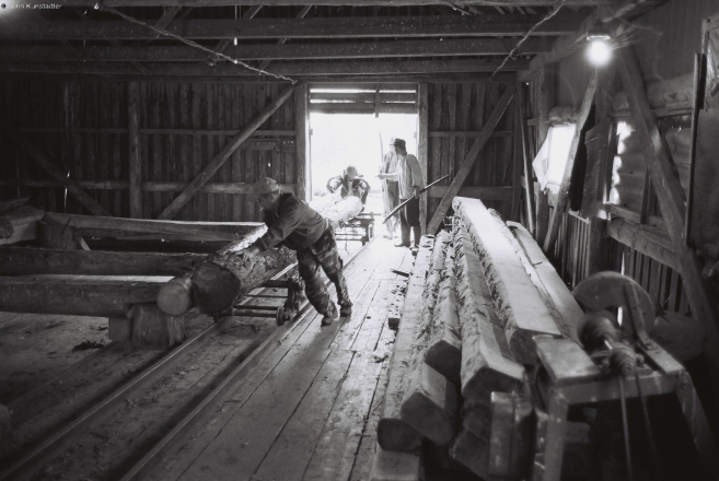 2-sawmill-azdamichy-2012-2012265-13a