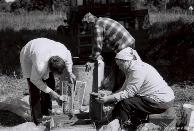 2.Collecting May Honey from Hives in the Forest, Bjerazy nr. Tsjerablichy 20182018132b_17A