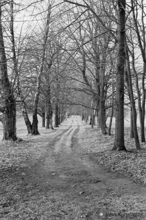 2.Allee-Grounds-of-Bahushevich-Museum-Kushljany-2008-2008007-32