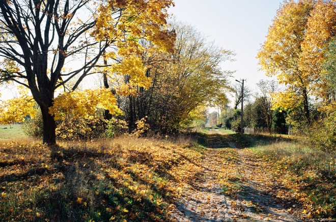 2.Buda (Zhytkavichy District) 2018, 2018269a-10A